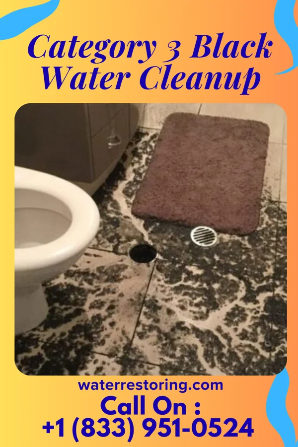 Category 3 Black Water Cleanup in Downers Grove, IL