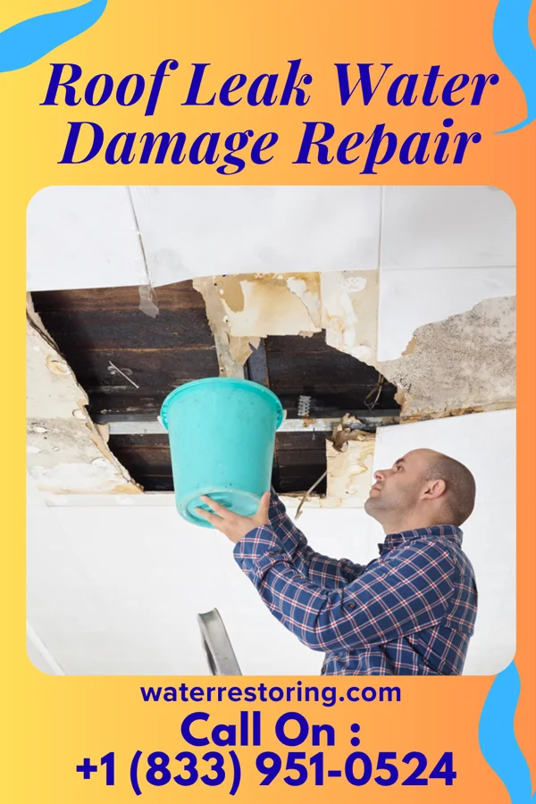 Roof Leak Water Damage Repair in Downers Grove, IL